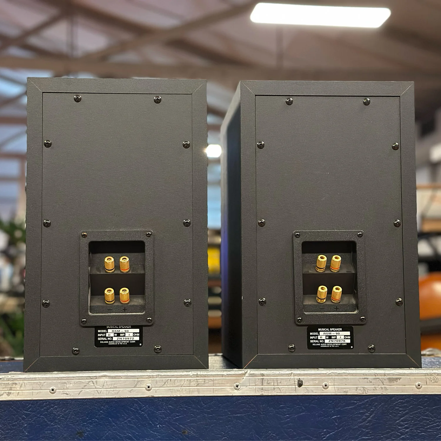 Roland RSM-90 Passive Studio Monitors PAIR - Image 5